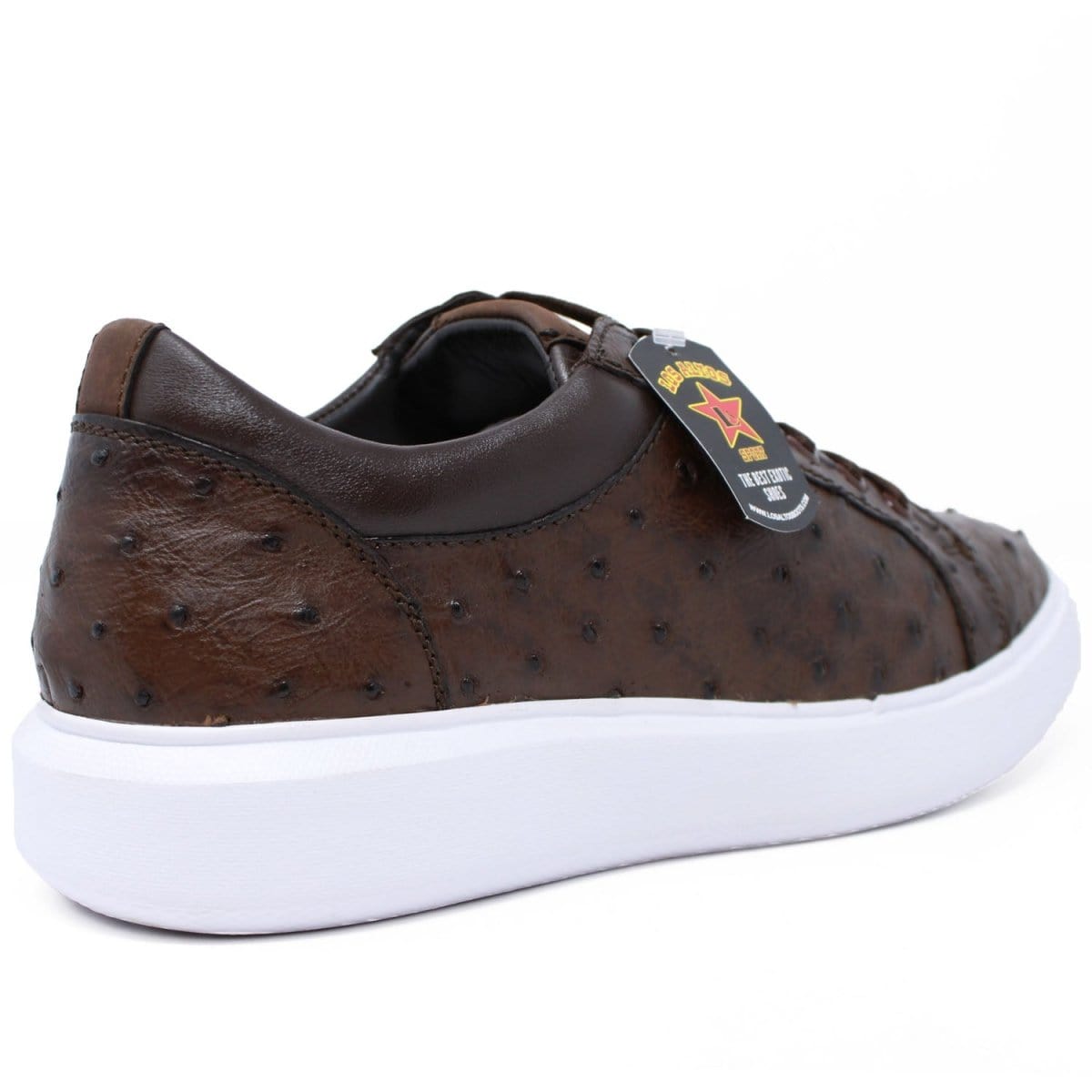 Men's Genuine Ostrich Skin Sneaker Casual Shoe Brown Color - Los Altos Boots - Back Side View