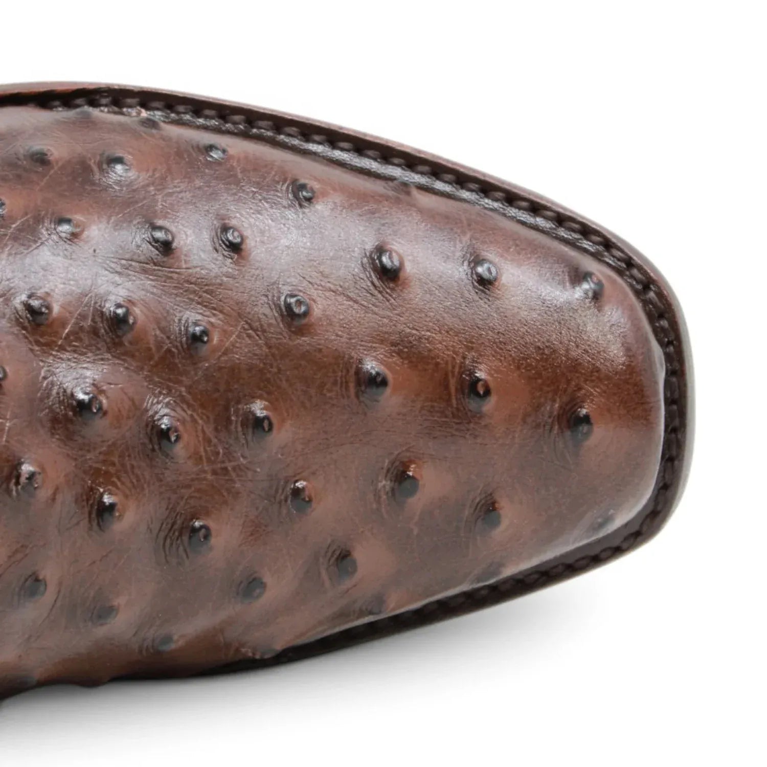 Quincy Men's Ostrich Print Dubai Square Toe Short Boot with Zipper - Brown - Toe View