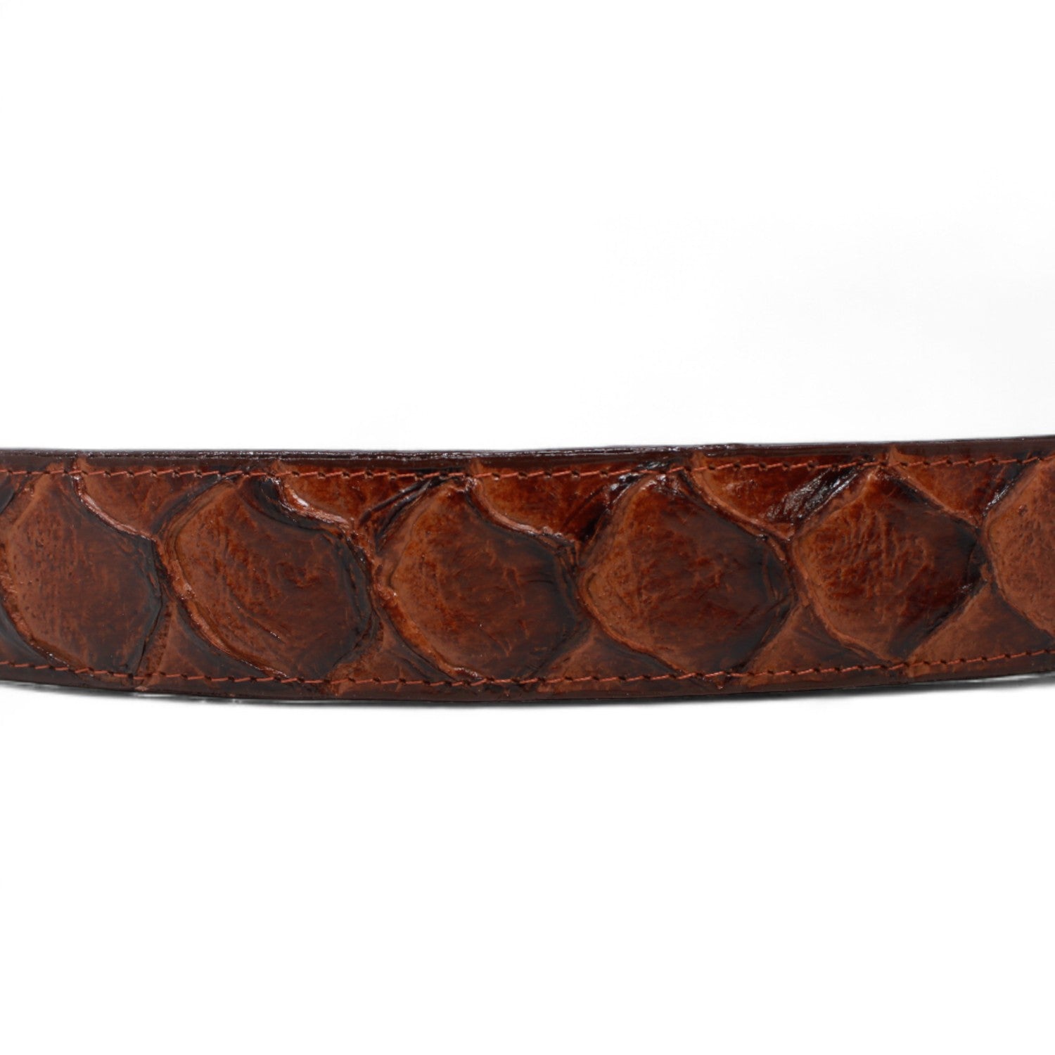 Tanner Mark Boots Belts Cinturón de Piel Genuina con Estampado de Pirarucu y Hebilla Metálica Texas Cognac