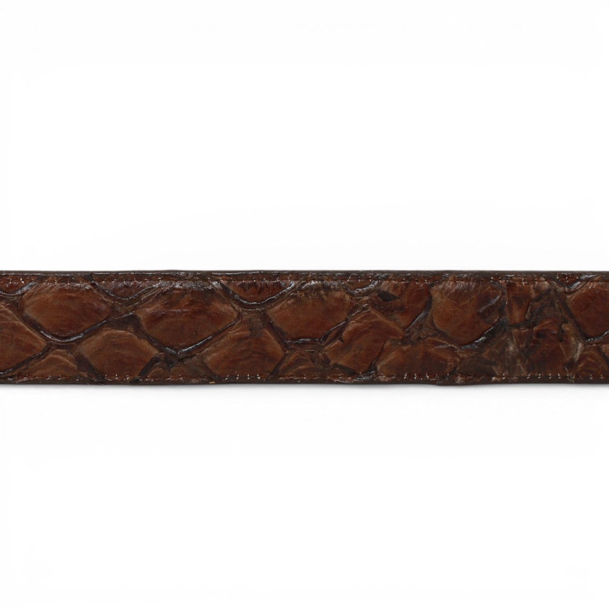 Tanner Mark Boots Belts Genuine Pirarucu Skin Texas Metal Buckle Belt Brown Color - Tanner Mark Boots