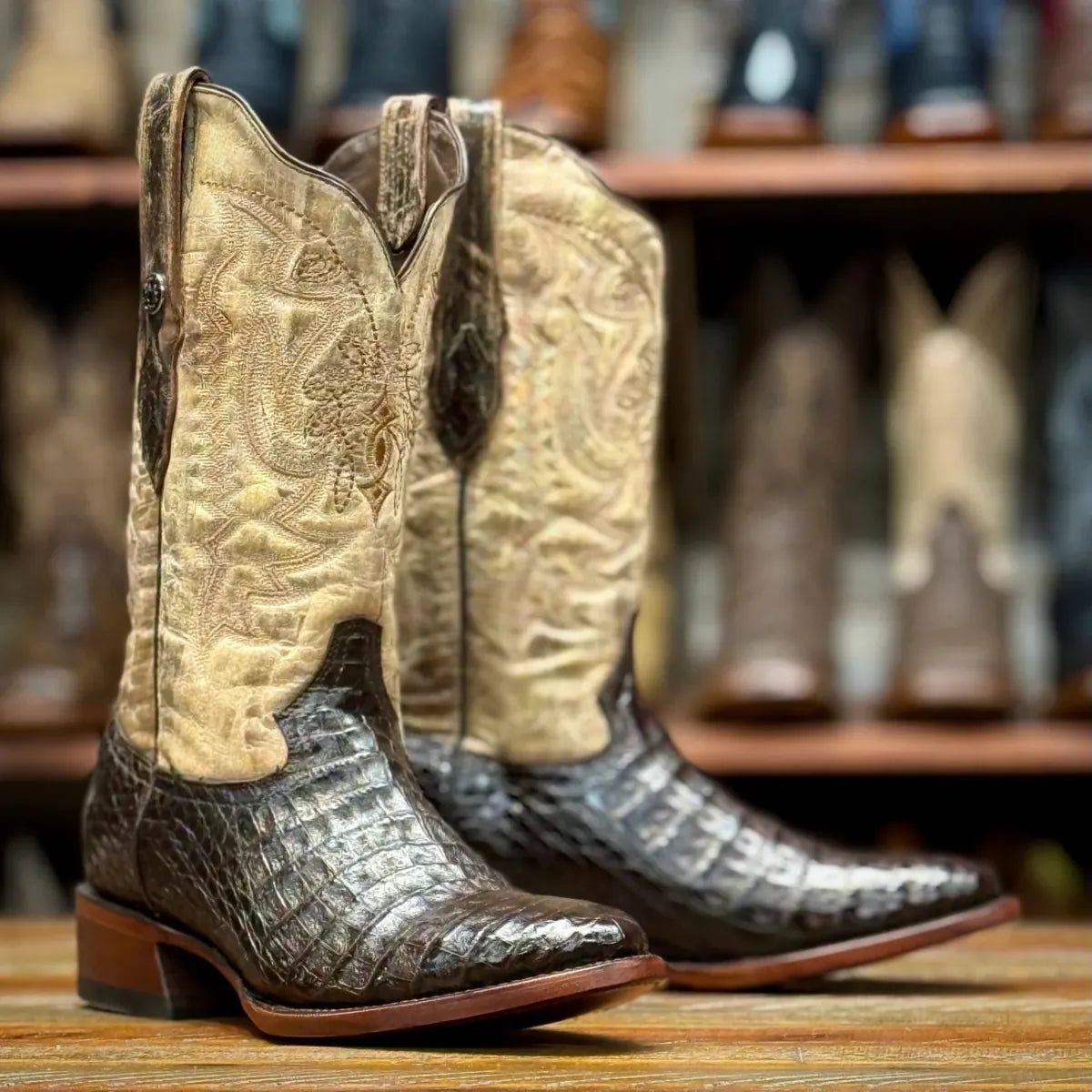 Tanner Mark Boots Boots Men's Genuine Caiman Belly Round Toe Boots in Brown - Tanner Mark Boots