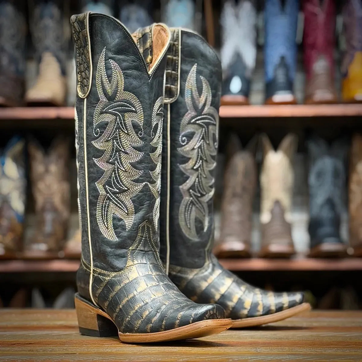 Tanner Mark Boots Boots Women's Caiman Belly Print Square Toe Tall Boots in Black & Gold - Tanner Mark Boots