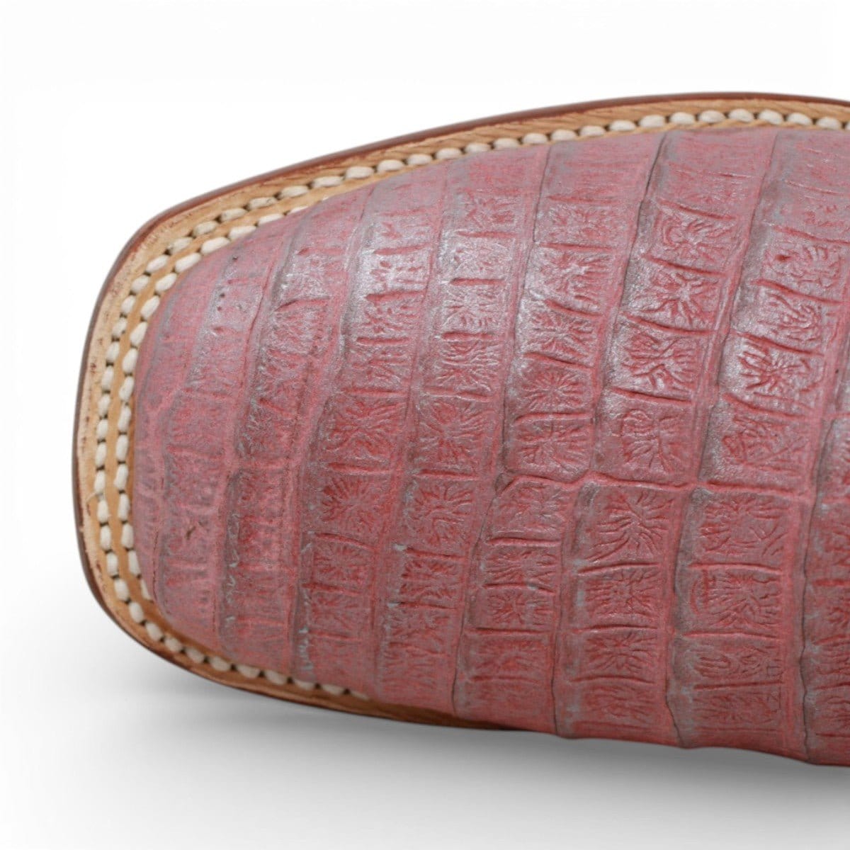 Tanner Mark Boots Boots Women's Caiman Belly Print Square Toe Tall Boots in Light Pink - Tanner Mark Boots