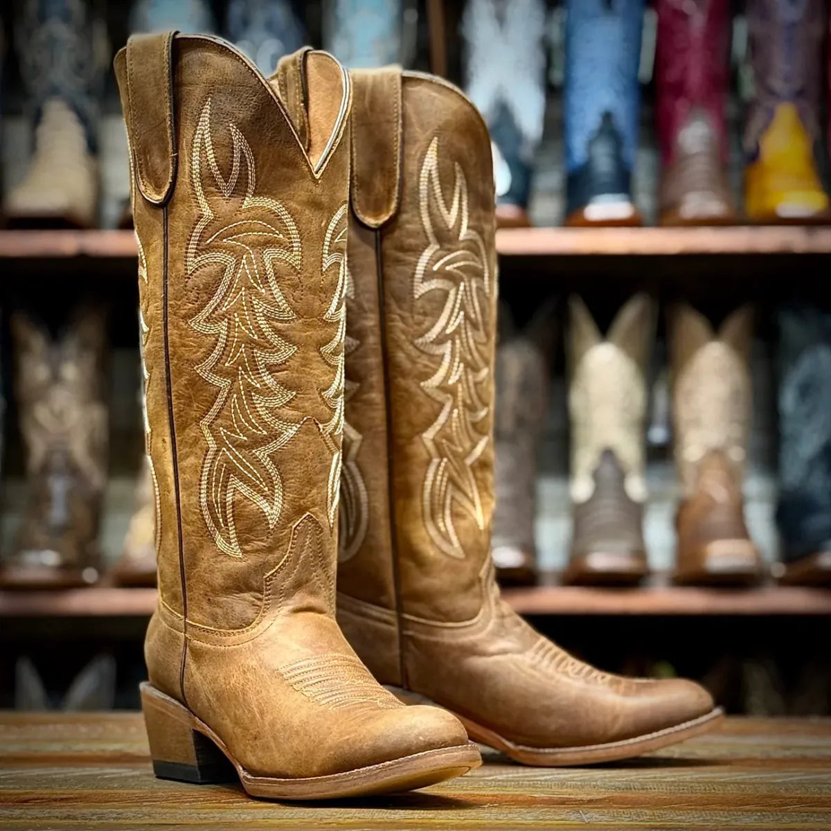 Tanner Mark Boots Boots Women's Genuine Leather Round Toe Tall Boots in Canyon Cognac - Tanner Mark Boots