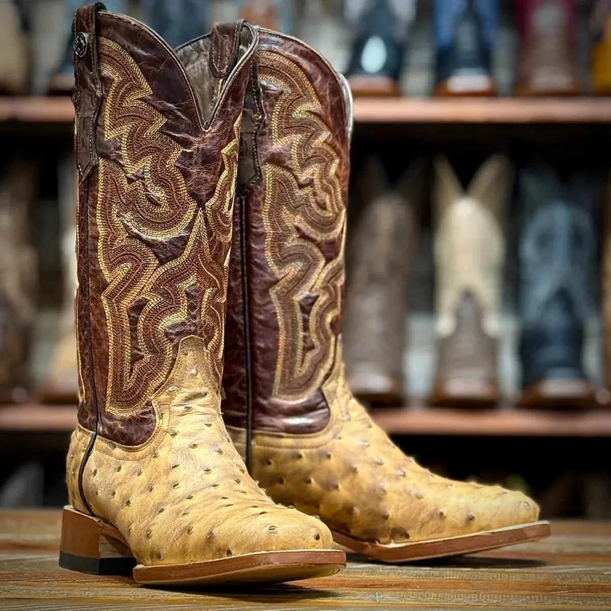 Tanner Mark Boots Boots Women's Ostrich Print Square Toe Boots in Orix - Tanner Mark Boots