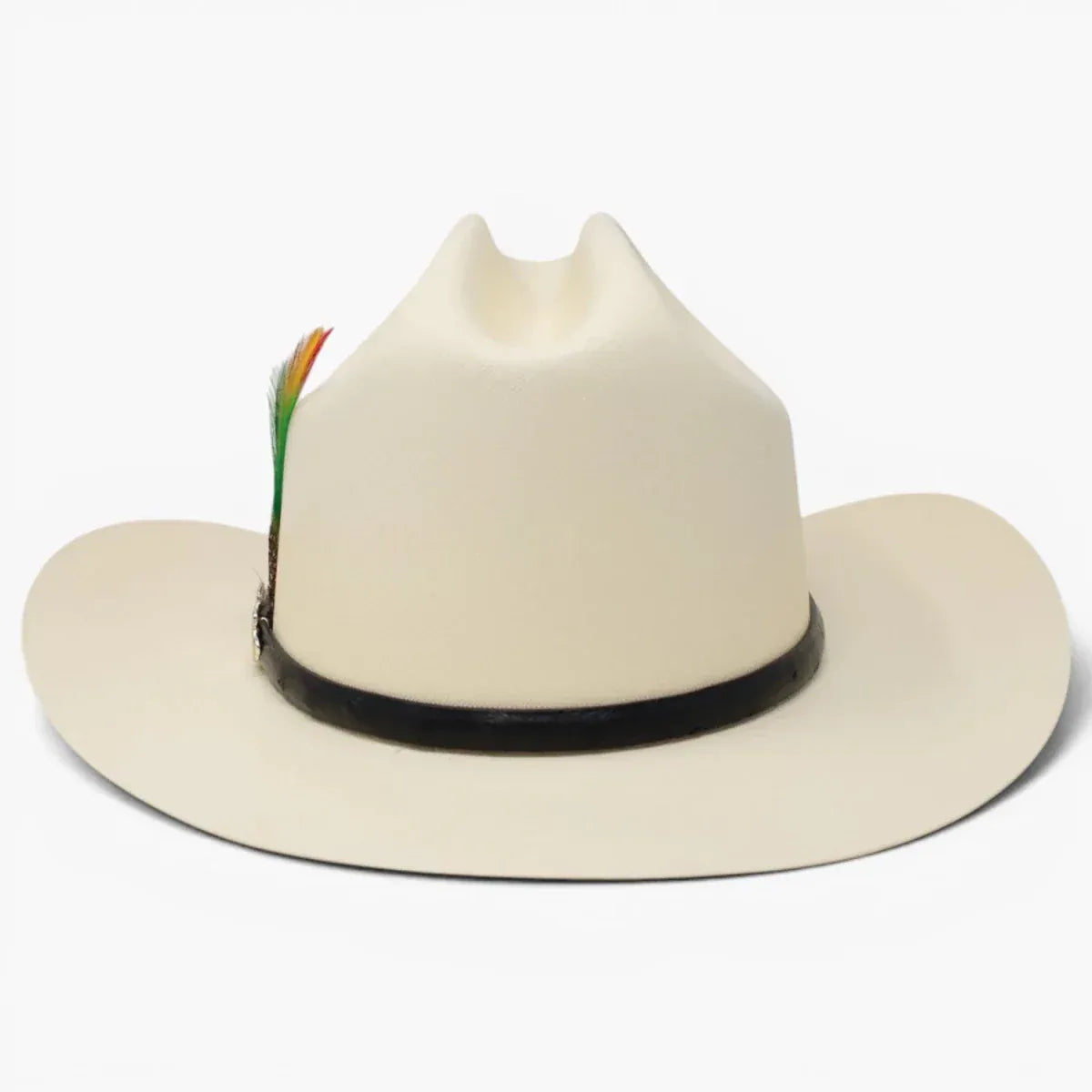 Tombstone Hats 10,000X Cowboy Hat Sinaloa Style with Feather 3 1/2" Brim - Back View