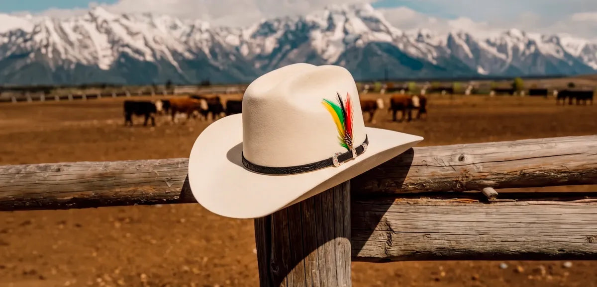 Hats Collection