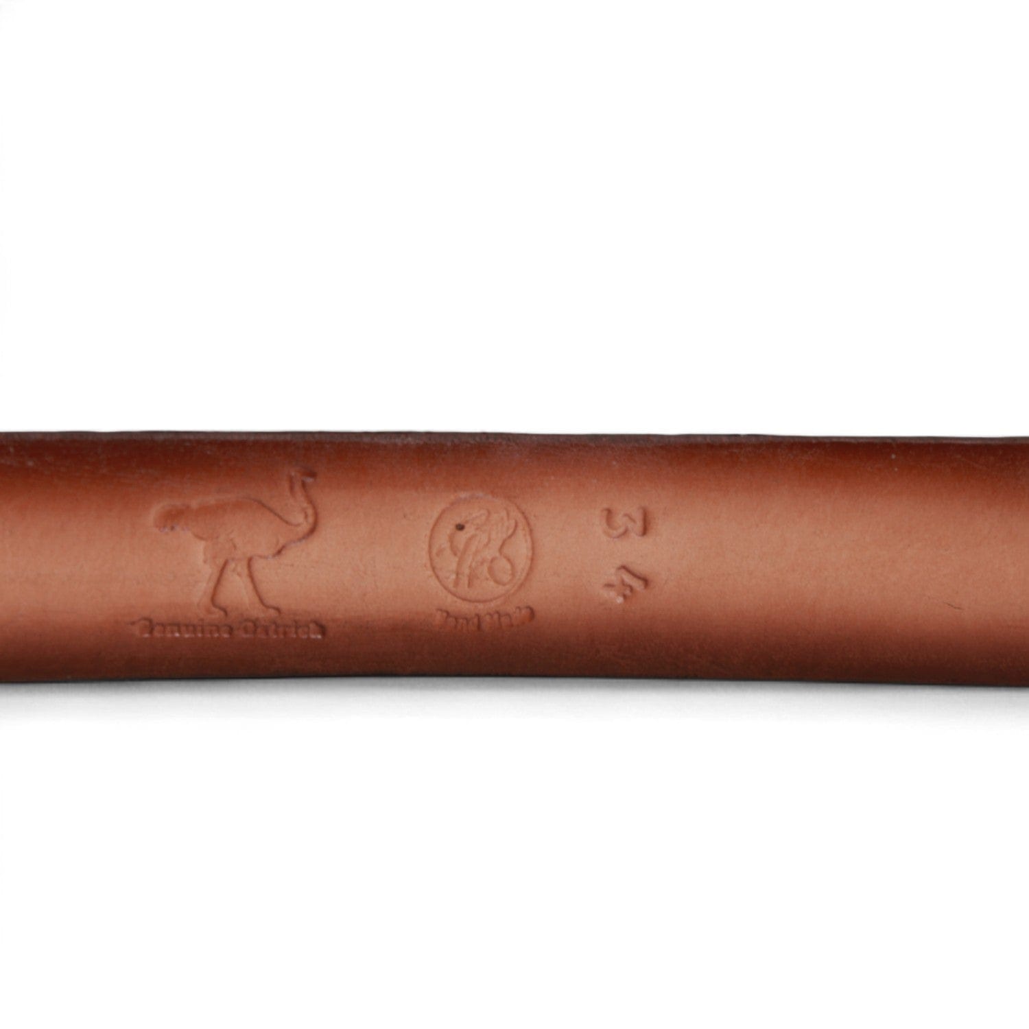 Genuine Ostrich Skin Cowboy Belt - Los Altos Boots