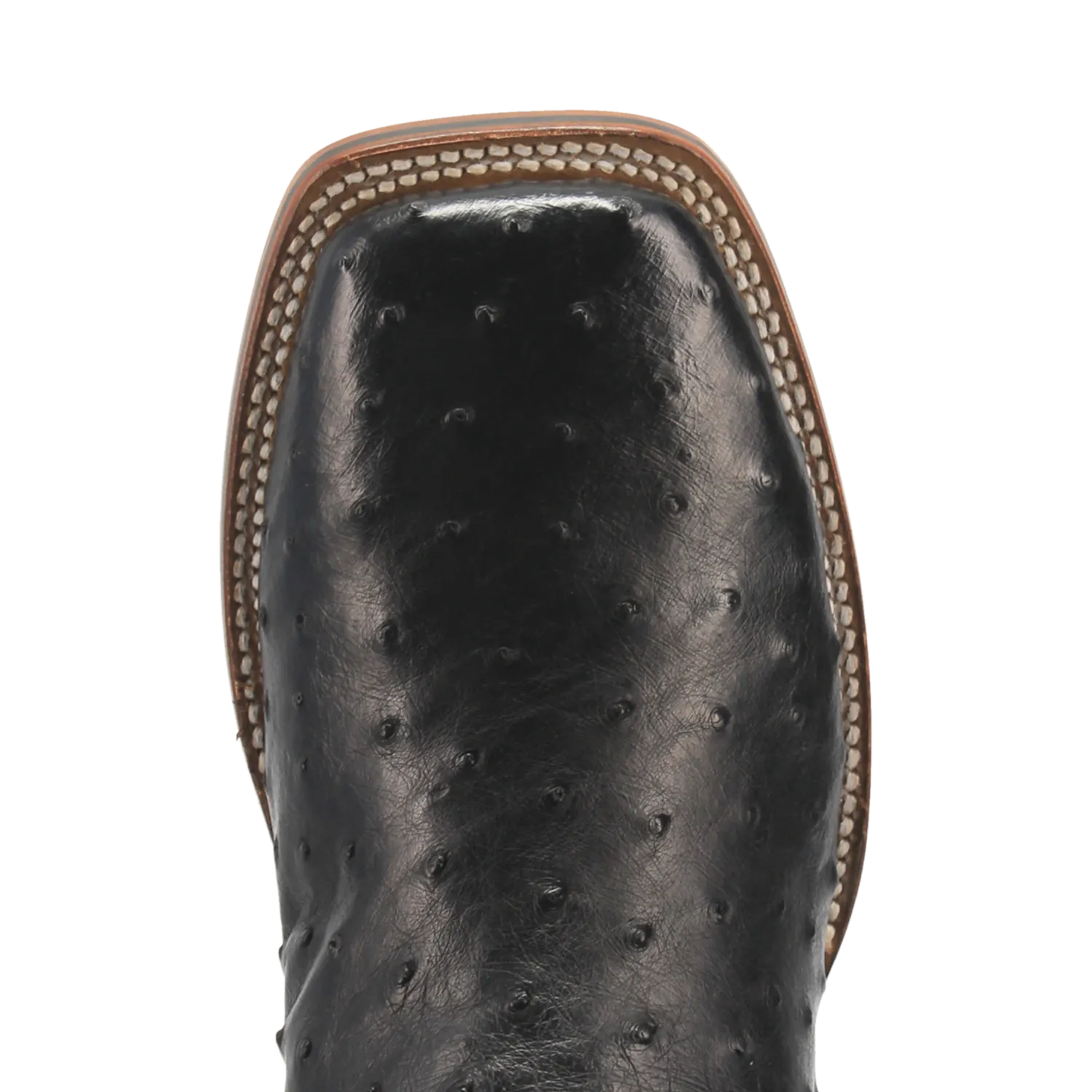 Dan Post Boots Boots Men's Alamosa Full Quill Ostrich Wide Square Toe Boots Black Color - Dan Post Boots