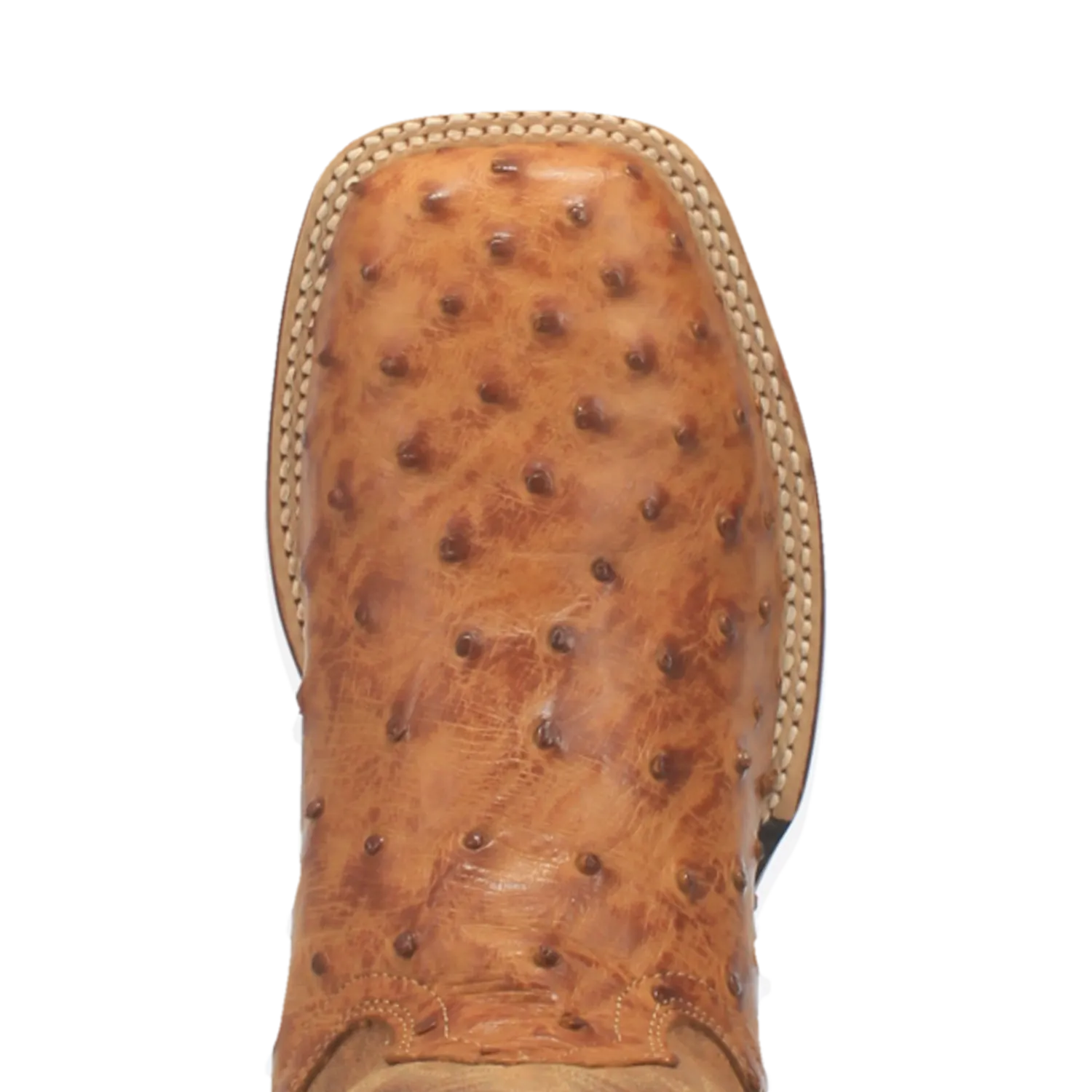 Dan Post Boots Boots Men's Alamosa Full Quill Ostrich Wide Square Toe Boots Saddle Tan Color - Dan Post Boots