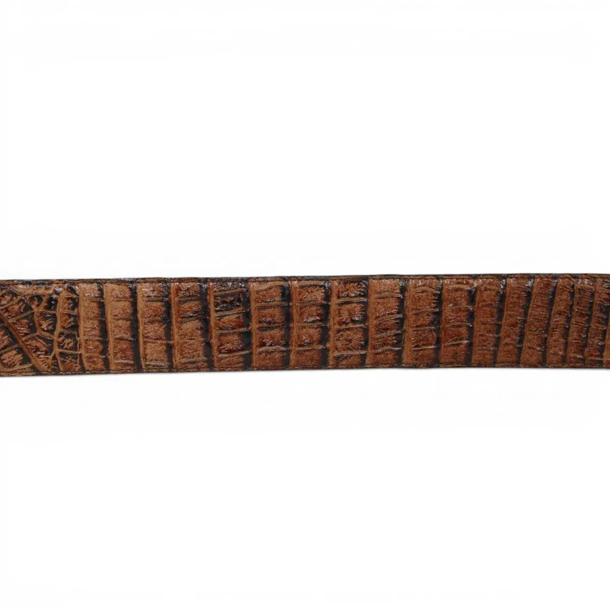 La Carreta Men´s Caiman Print Metal Buckle Western Belt - Honey - Belt View