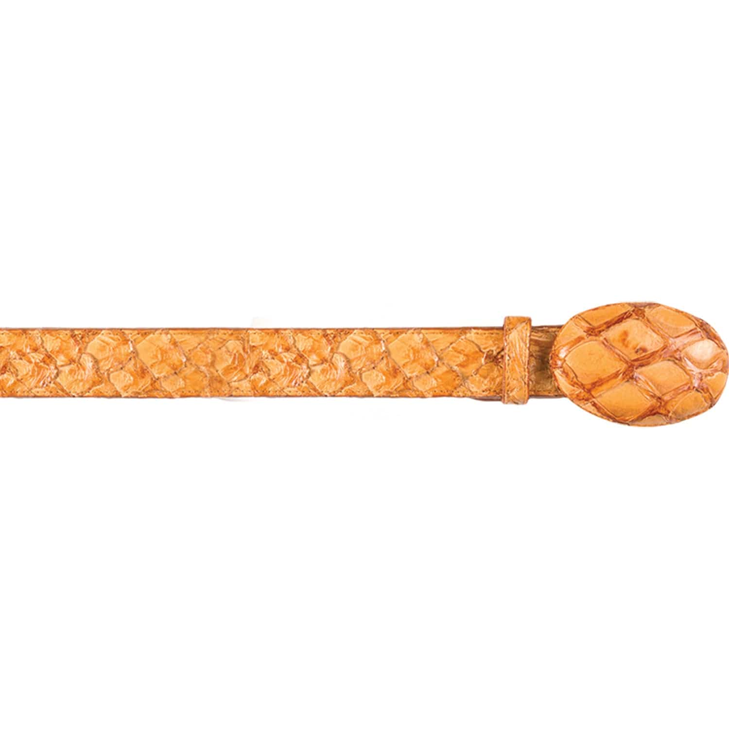 Genuine Piraruccu Skin Cowboy Belt Glossy Buttercup Color - Los Altos Boots