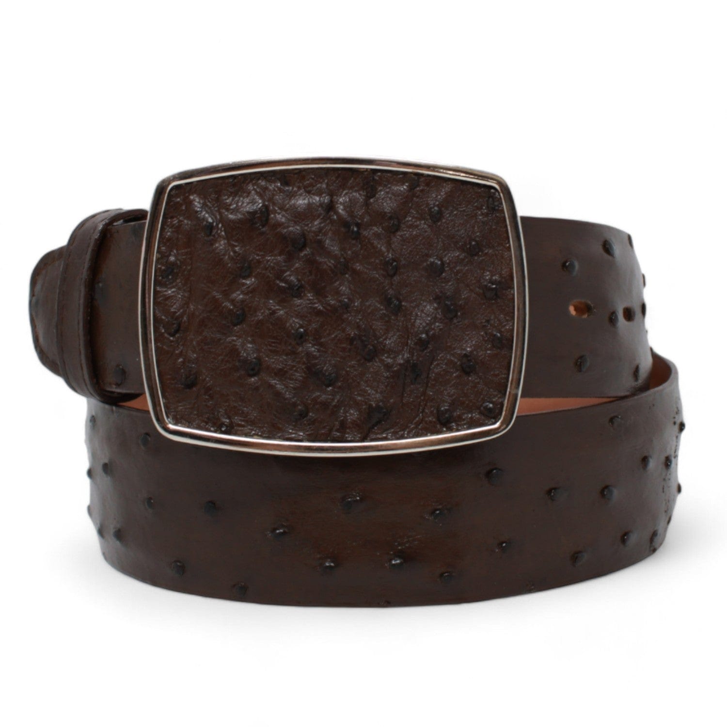 Genuine Ostrich Skin Cowboy Belt Brown Color - Los Altos Boots