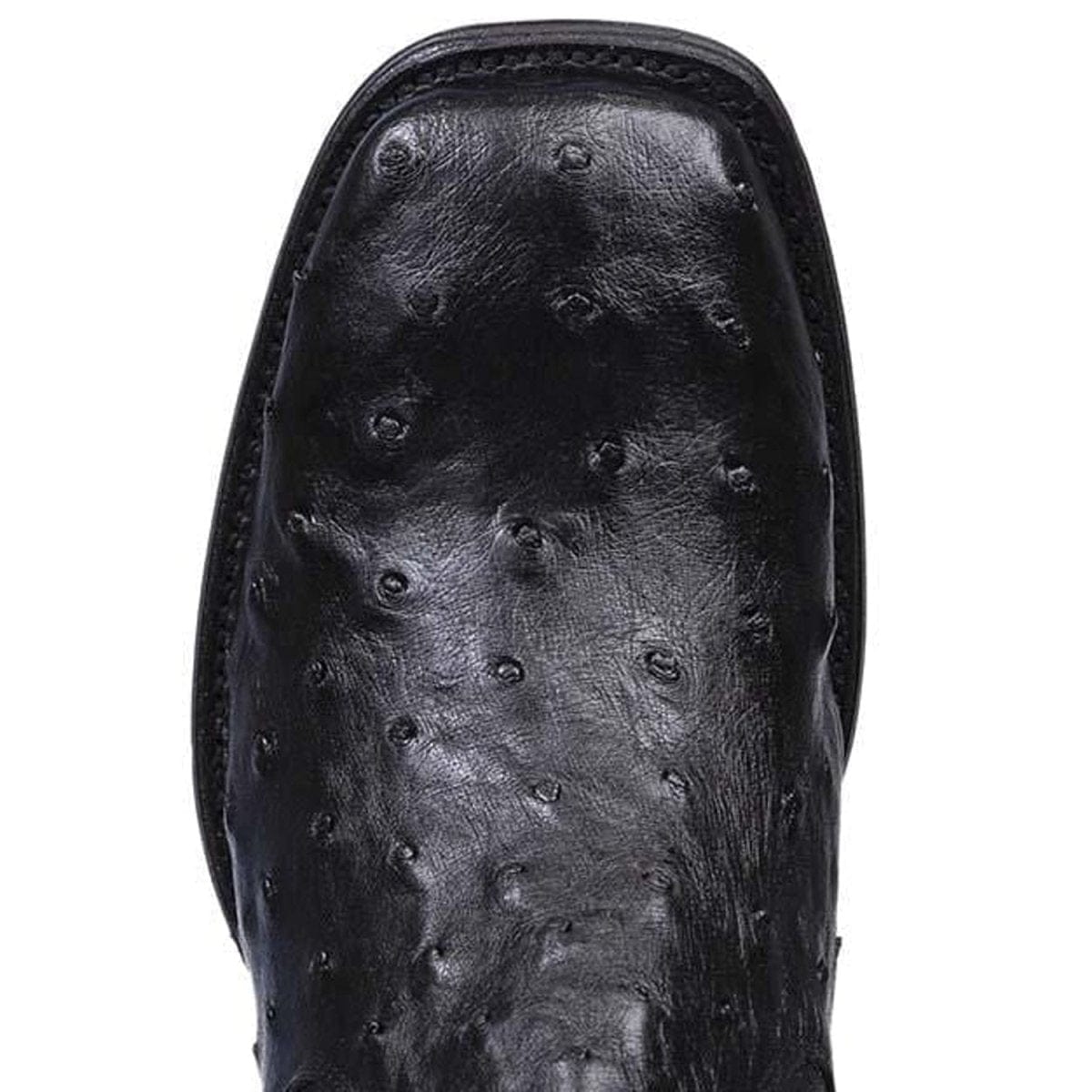 Western Genuine Ostrich Skin Wide Square Toe Ankle Boots Black Color - Los ALtos Boots - Toe View 
