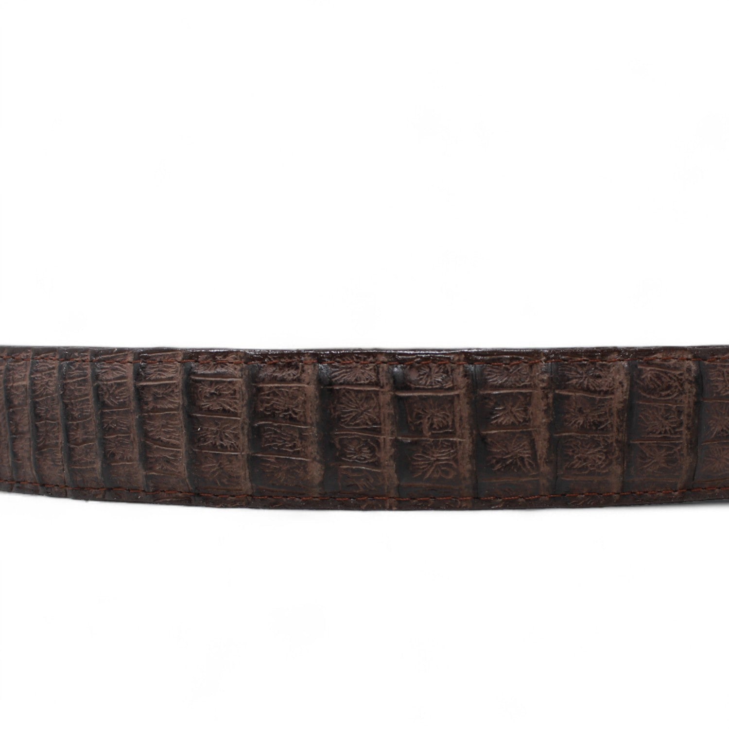 Tanner Mark Boots Belts Cinturon de Piel Genuina con Estampado de Caiman Panza Hebilla Metálica Texas Cafe