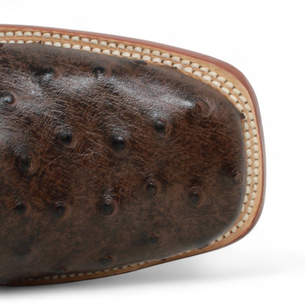Tanner Mark Boots Boots Men's Ostrich Print Square Toe Ankle Boots in Brown - Tanner Mark Boots