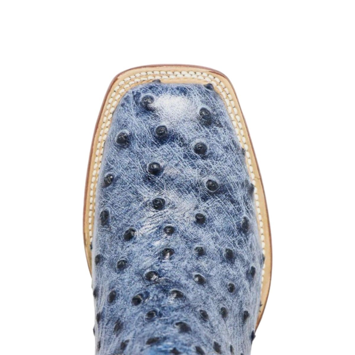 Tanner Mark Boots Boots Women's Bluebonnet Ostrich Print Square Toe Tall Boots in Blue Denim - Tanner Mark Boots