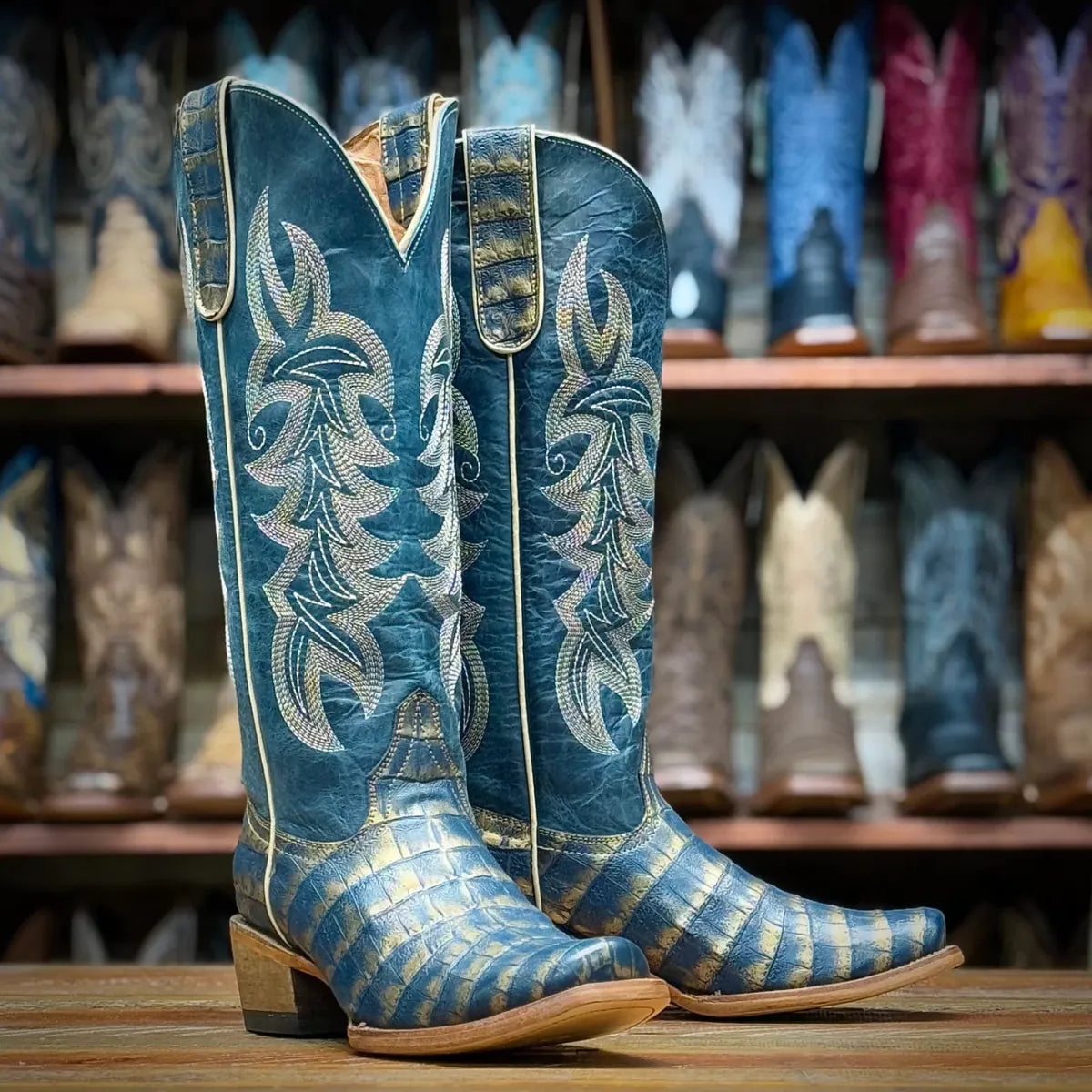 Tanner Mark Boots Boots Women's Caiman Belly Print Square Toe Tall Boots in Navy & Gold - Tanner Mark Boots