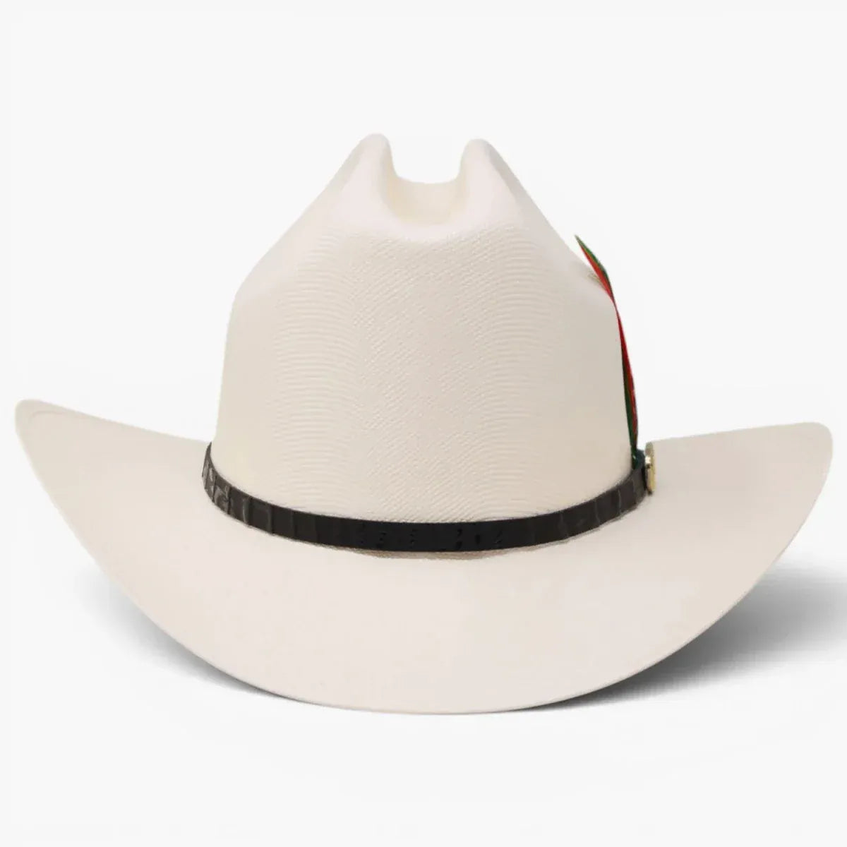 Stone 1,000X Cowboy San Judas Hat Sinaloa Style with Feathers - Natural - Front View