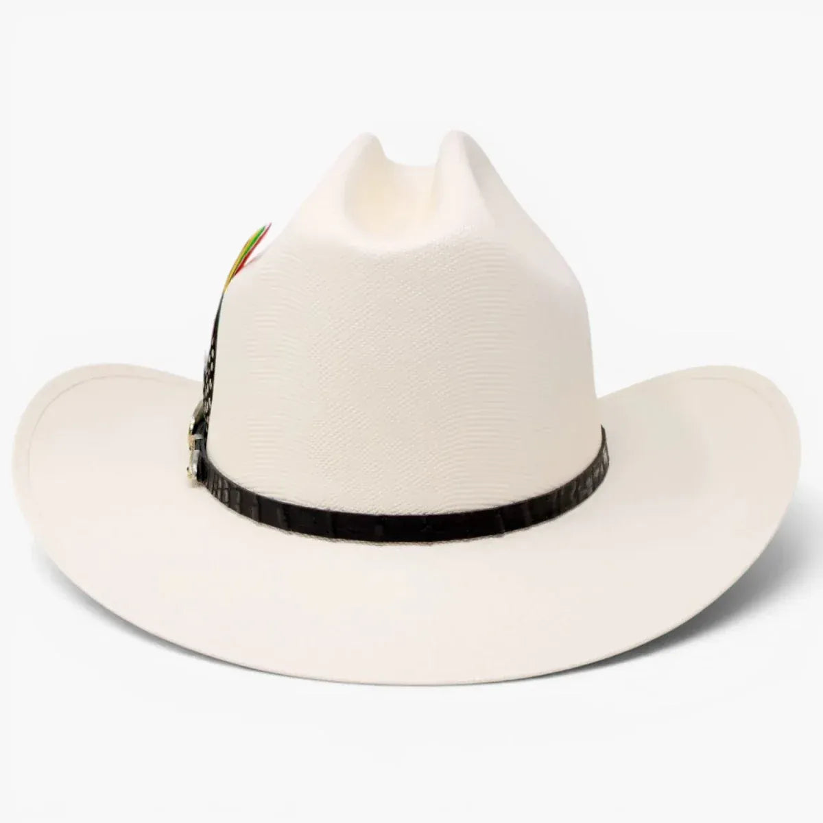 Stone 1,000X Cowboy San Judas Hat Sinaloa Style with Feathers - Natural - Back View
