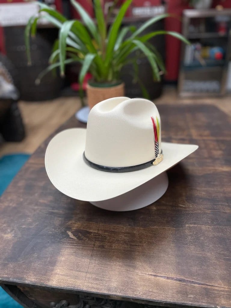 Tombstone Hats 10,000X Cowboy Hat Sinaloa Style with Feather 3 1/2" Brim - Side View